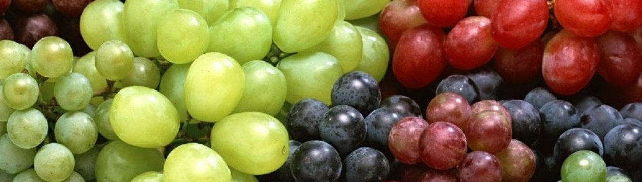 Особливості вживання винограду при гастриті