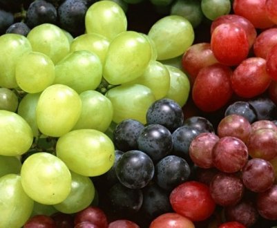 Особливості вживання винограду при гастриті