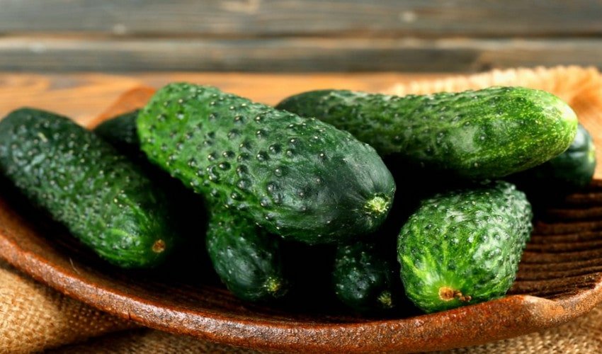 Огірки Гармоніст Огірки Гармоніст