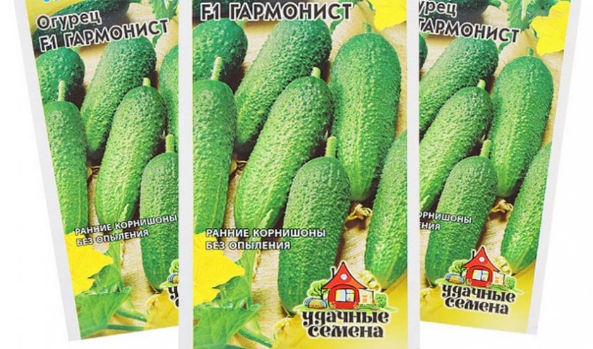 Семена огурцов Семена огурцов