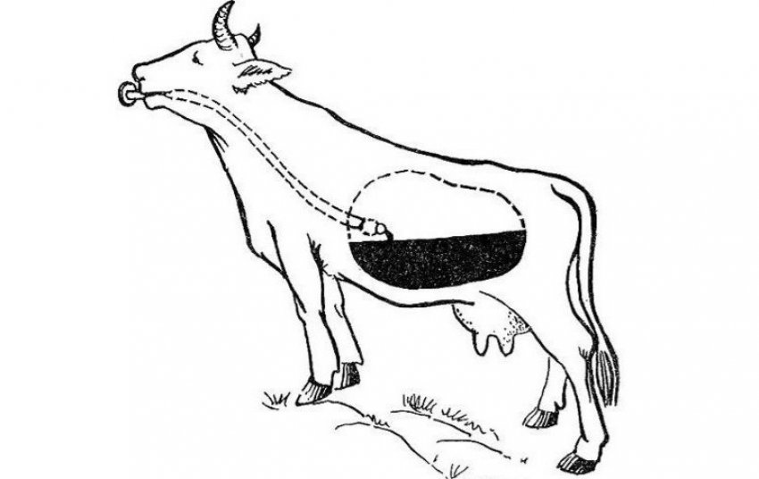 Промивання шлунка