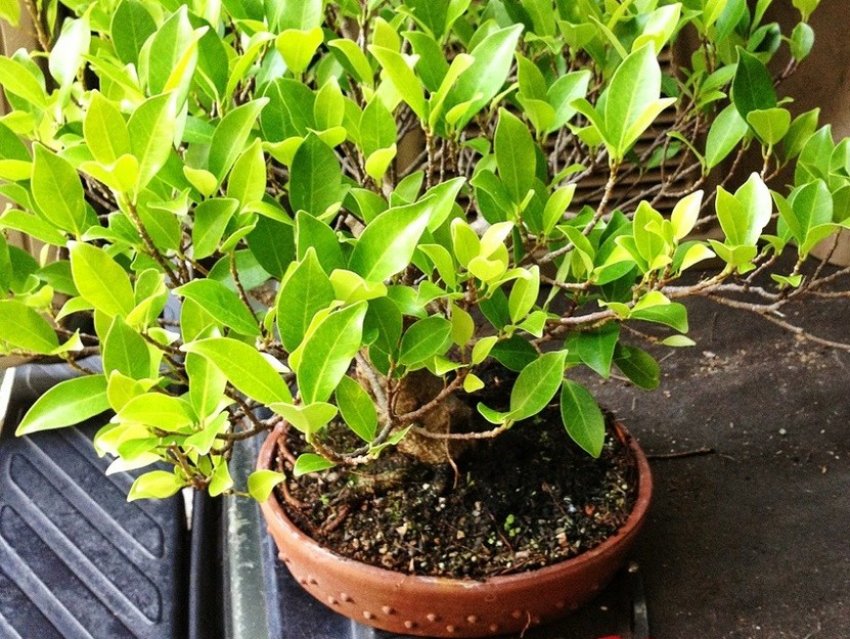 Температура і вологість повітря Температура і вологість повітря