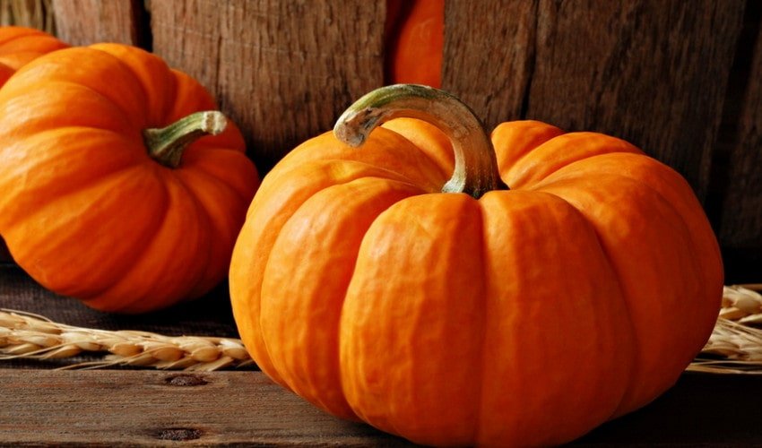 Гарбуз Гарбуз