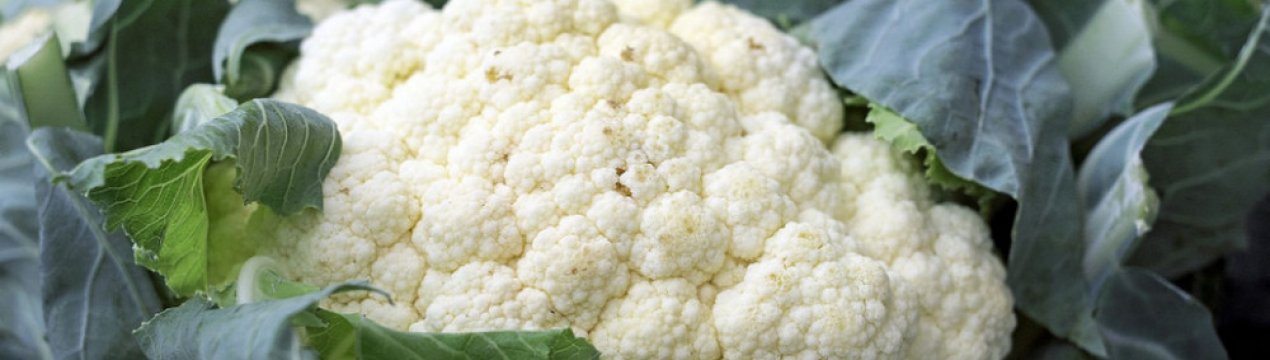 Можна годуючій мамі їсти цвітну капусту?