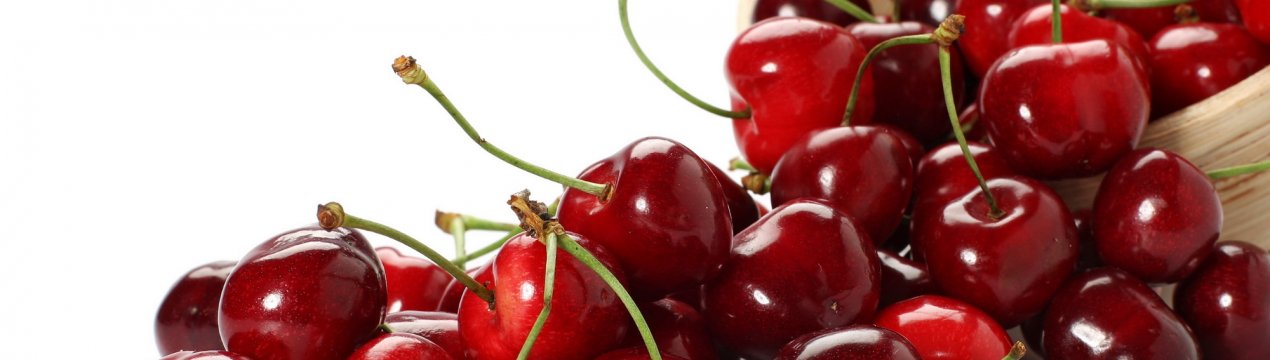 Масові гради знизили експорт черешні та лохини