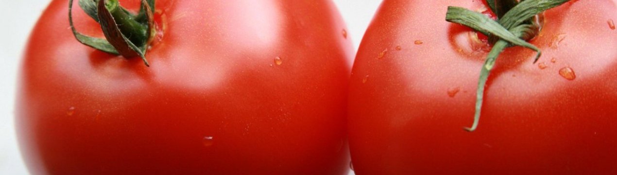 Помідори Надія F1: опис, агротехніка вирощування