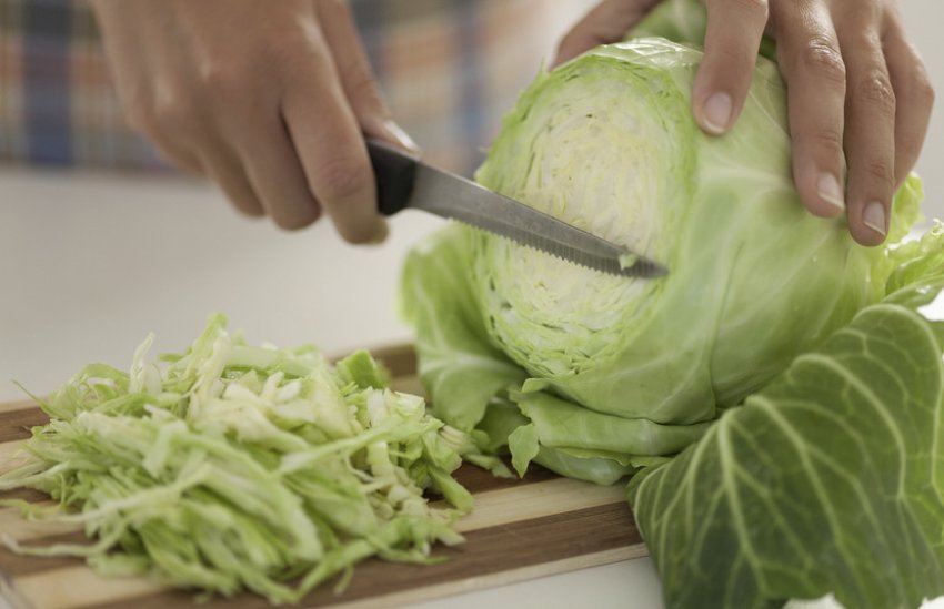 Капуста в кулінарії Капуста в кулінарії