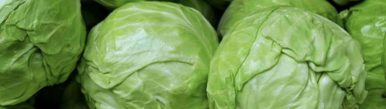 Капуста: користь і шкоду для організму людини