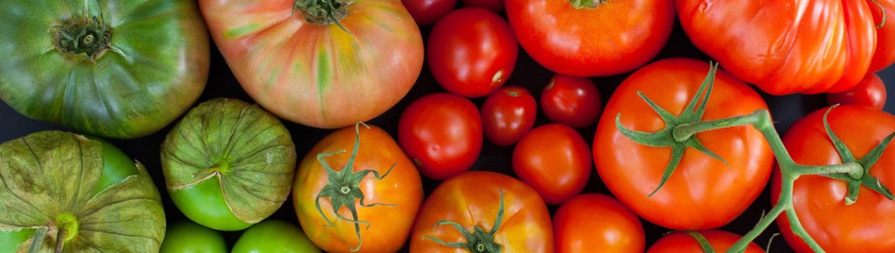 Что такое индетерминантные и детерминантные сорта томатов?