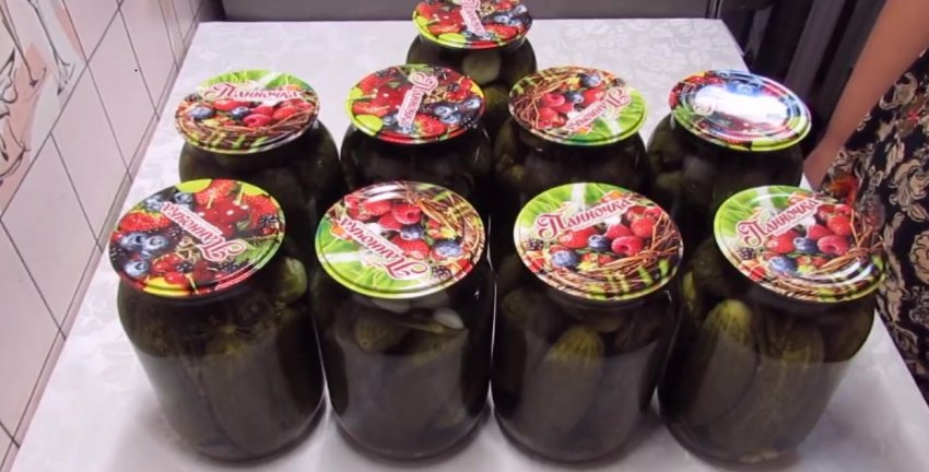 Маринование огурцов видео рецепты. 34301.pj7sjc.850. Маринование огурцов видео рецепты фото. Маринование огурцов видео рецепты-34301.pj7sjc.850. картинка Маринование огурцов видео рецепты. картинка 34301.pj7sjc.850. Добавить в избранное