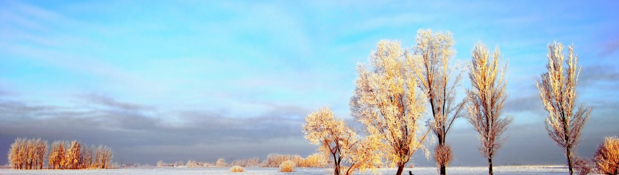 Російським полів обіцяють комфортне завершення року