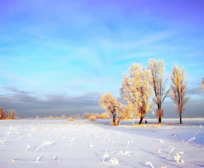 Російським полів обіцяють комфортне завершення року