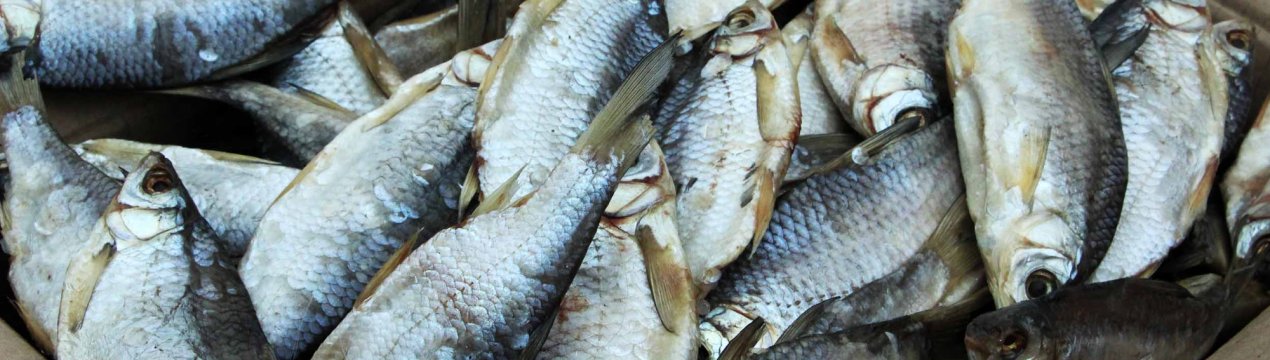 Як вобла і верблюд стали регіональними брендами