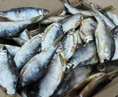 Як вобла і верблюд стали регіональними брендами