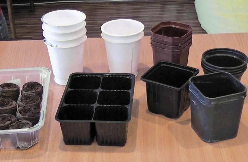 Ємність для розсади Ємність для розсади