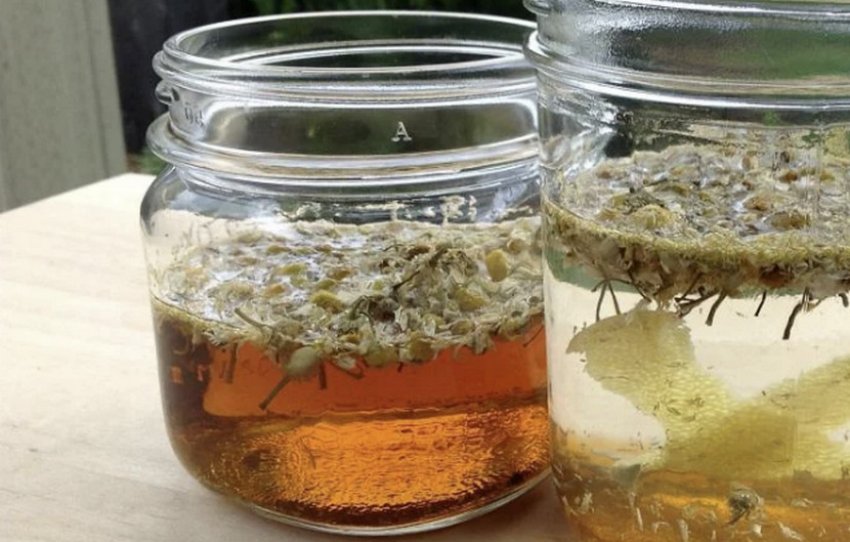 Відвар ромашки