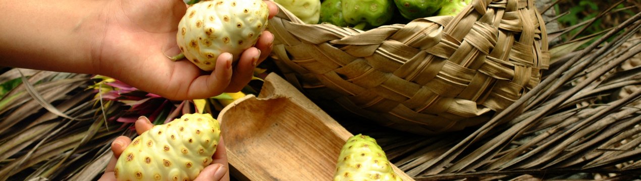 Бразильці будуть винищувати шкідників екзотичним маслом