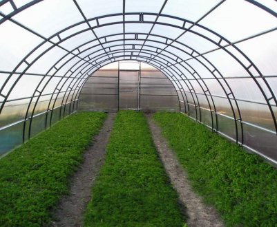 У Волгоградській області заробили smart-теплиці новітнього покоління 