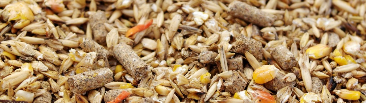 Батьківщина камчатських крабів славиться і якісними комбікормами