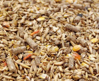 Батьківщина камчатських крабів славиться і якісними комбікормами