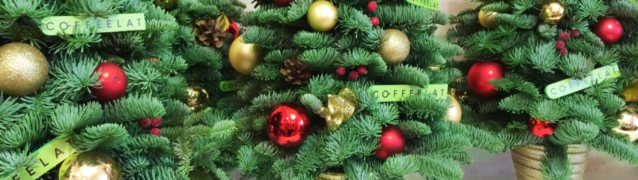 На ялинкові базари Новосибірська завітали гості з Данії