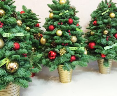 На ялинкові базари Новосибірська завітали гості з Данії