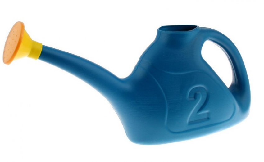 Лійка Лійка