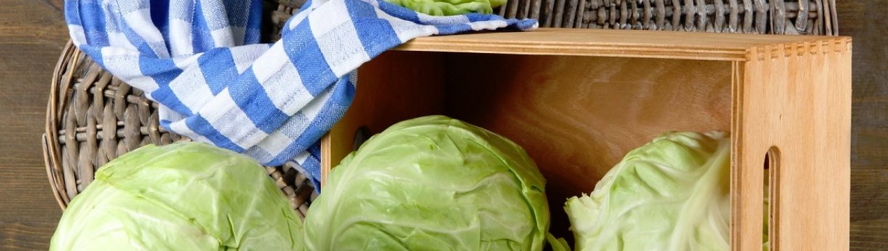 Как хранить свежую капусту в домашних условиях в квартире. Смотреть фото Как хранить свежую капусту в домашних условиях в квартире. Смотреть картинку Как хранить свежую капусту в домашних условиях в квартире. Картинка про Как хранить свежую капусту в домашних условиях в квартире. Фото Как хранить свежую капусту в домашних условиях в квартире