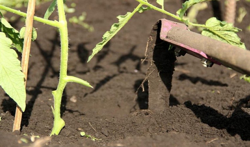 Розпушування