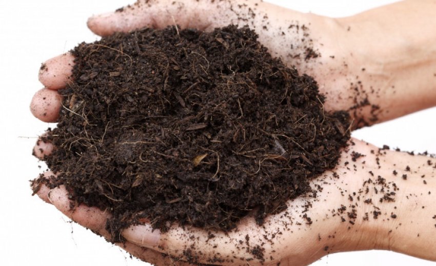 Земля для пересадки