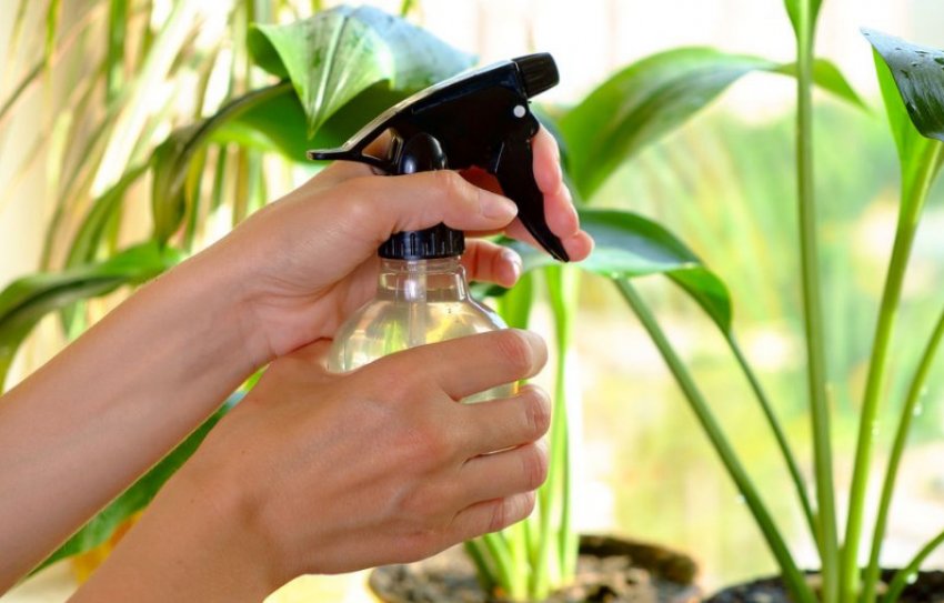 Обприскування