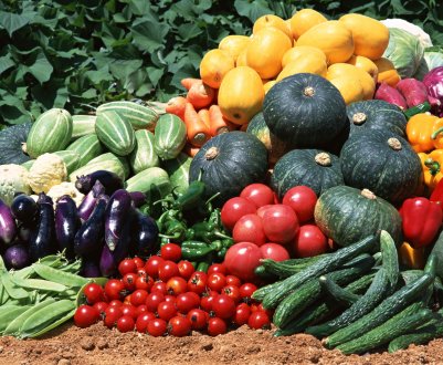 Київ став центром об'єднання фермерів-овочівників