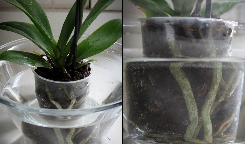 Занурення Занурення