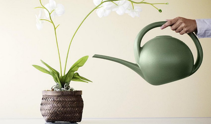 Згори Згори