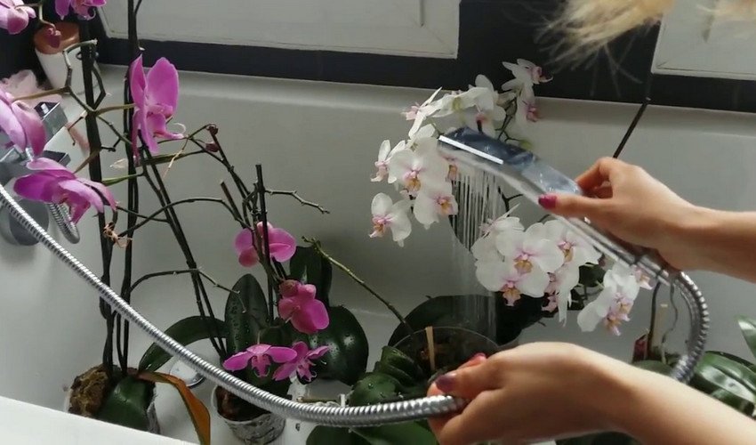 Проточною водою Проточною водою