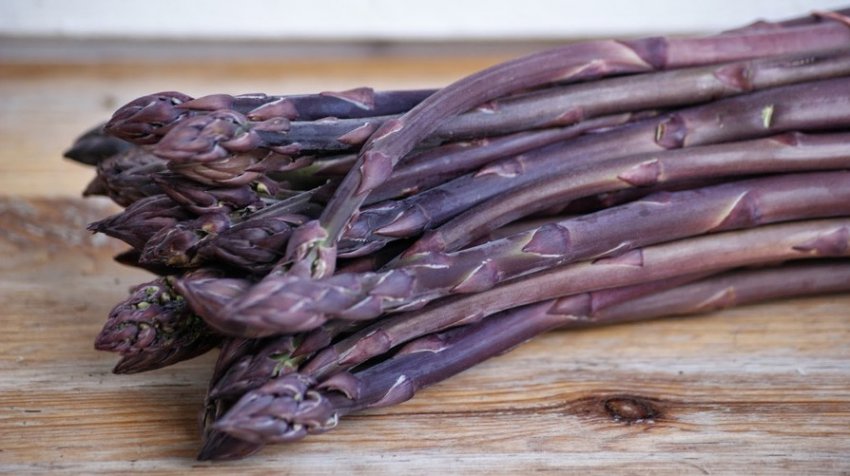 Фіолетова спаржа