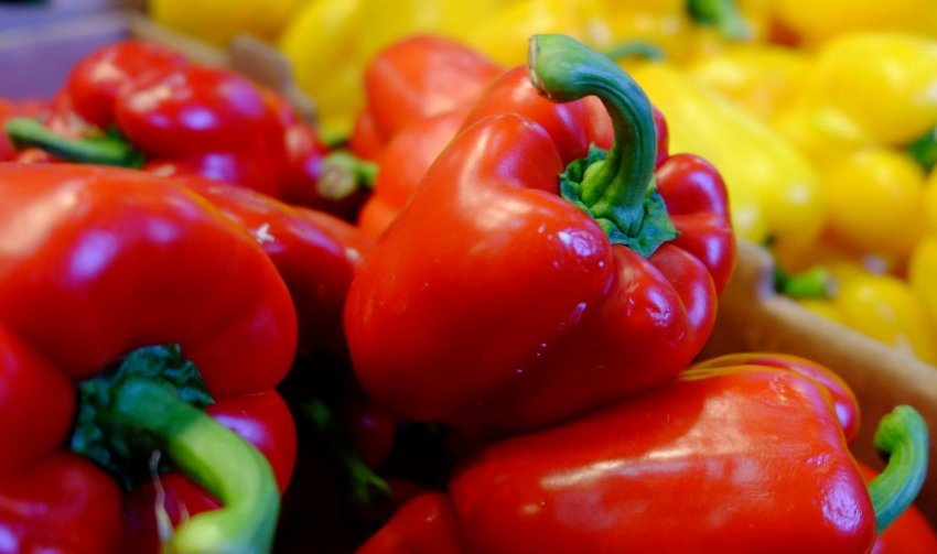 Болгарський перець