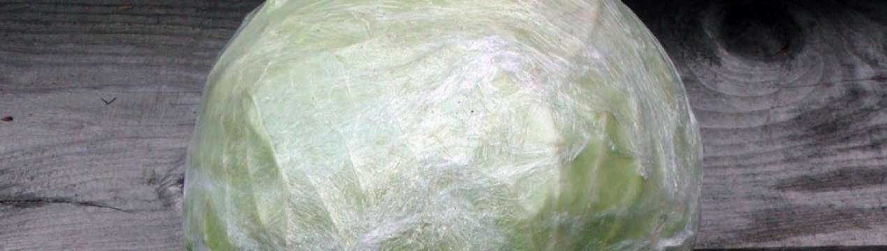 Як зберігати капусту в харчовій плівці на зиму?