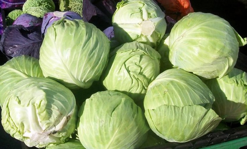 Капуста Квартет Капуста Квартет