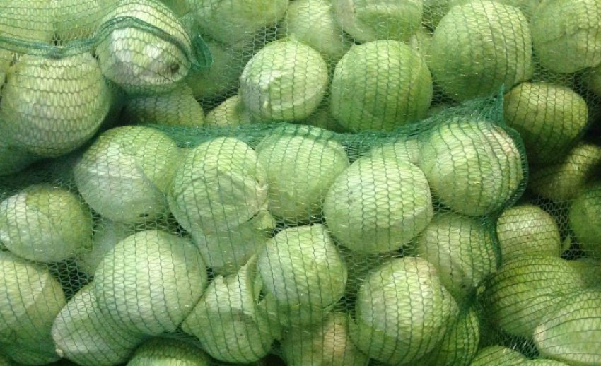 Капуста в сітці Капуста в сітці