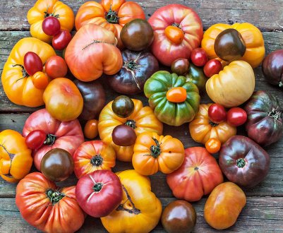 Українські соління добре влаштувалися на канадських прилавках