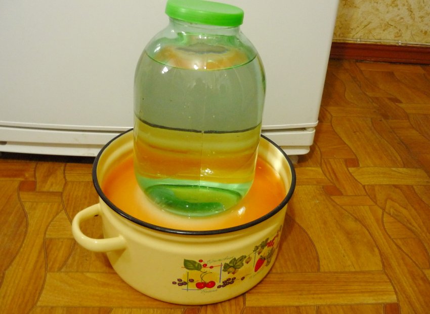 Капуста під гнітом