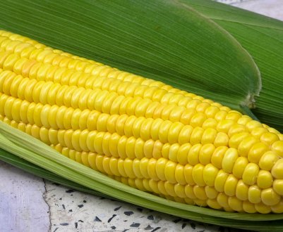 З українських столів зникне вітчизняна кукурудза?