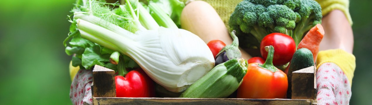 Сибіряков навчають еко-фермерству