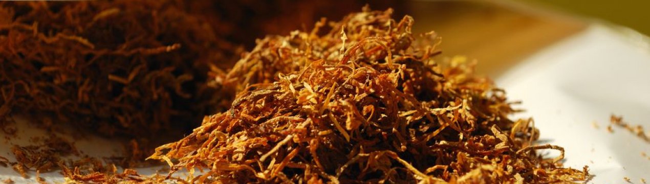 Кращі сорти тютюну