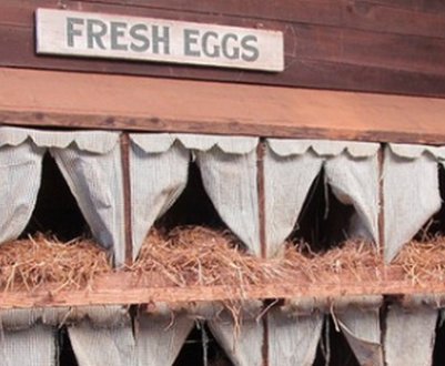 Як зробити гніздо для курей своїми руками