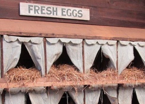 Як зробити гніздо для курей своїми руками