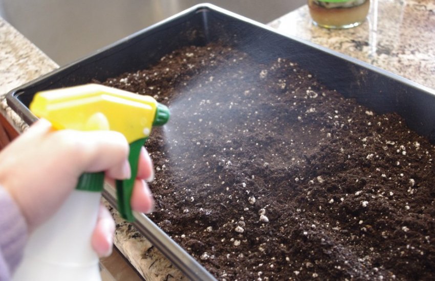 Грунт для розсади