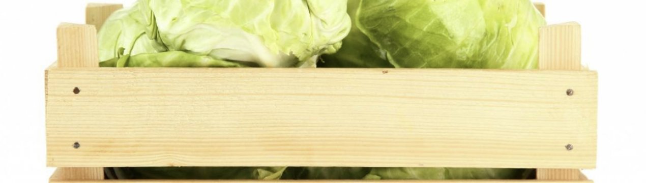 Як вибрати найкращий сорт капусти для зберігання на зиму
