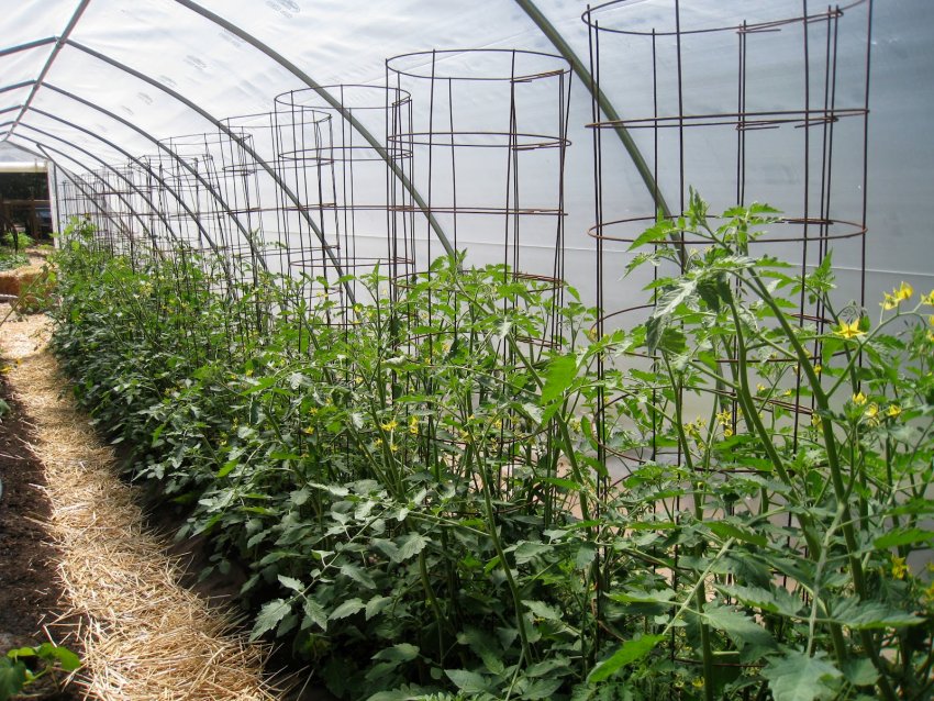 З допомогою дротяного каркасу